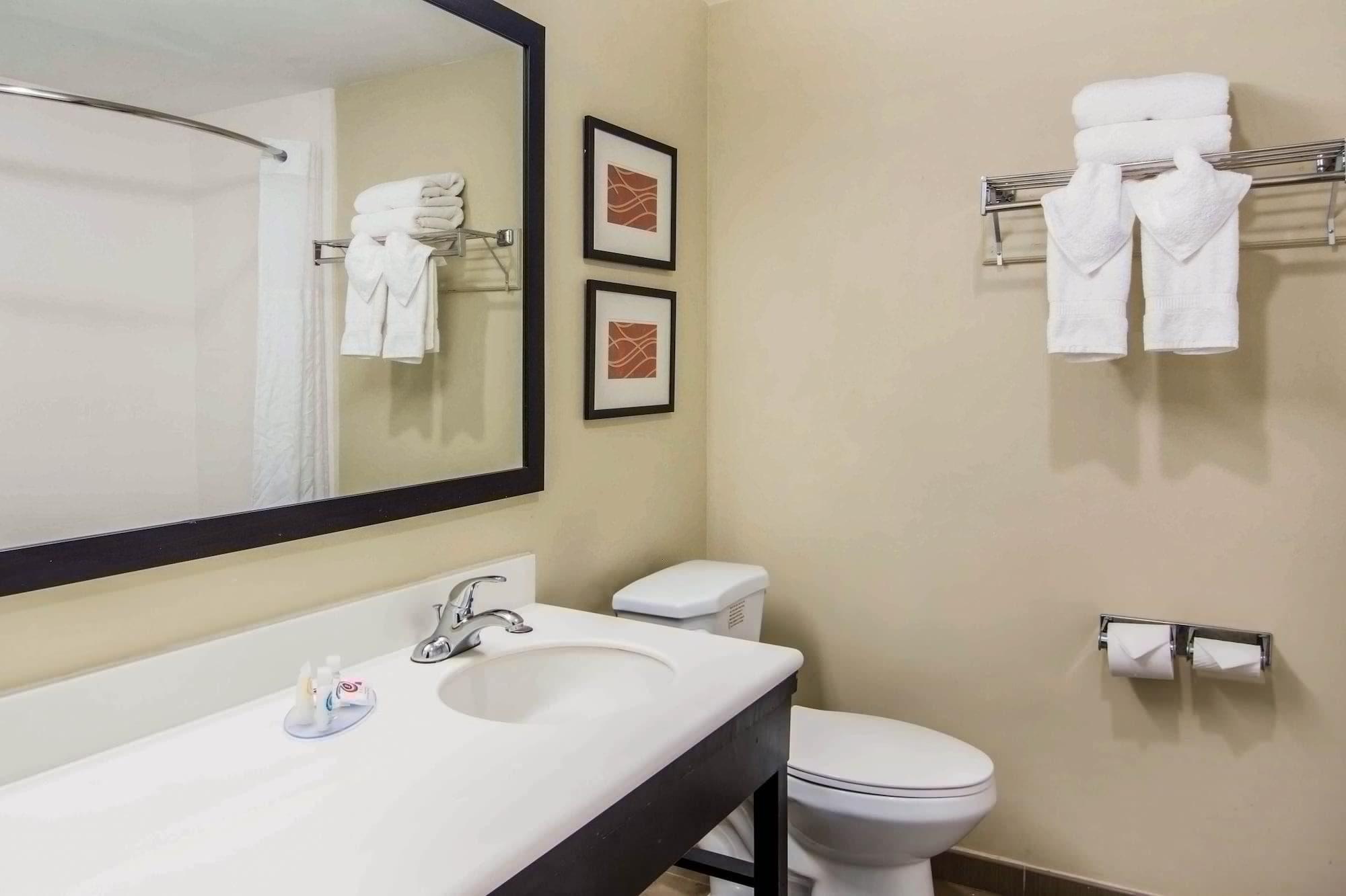 Comfort Inn Atlanta Downtown South Екстер'єр фото
