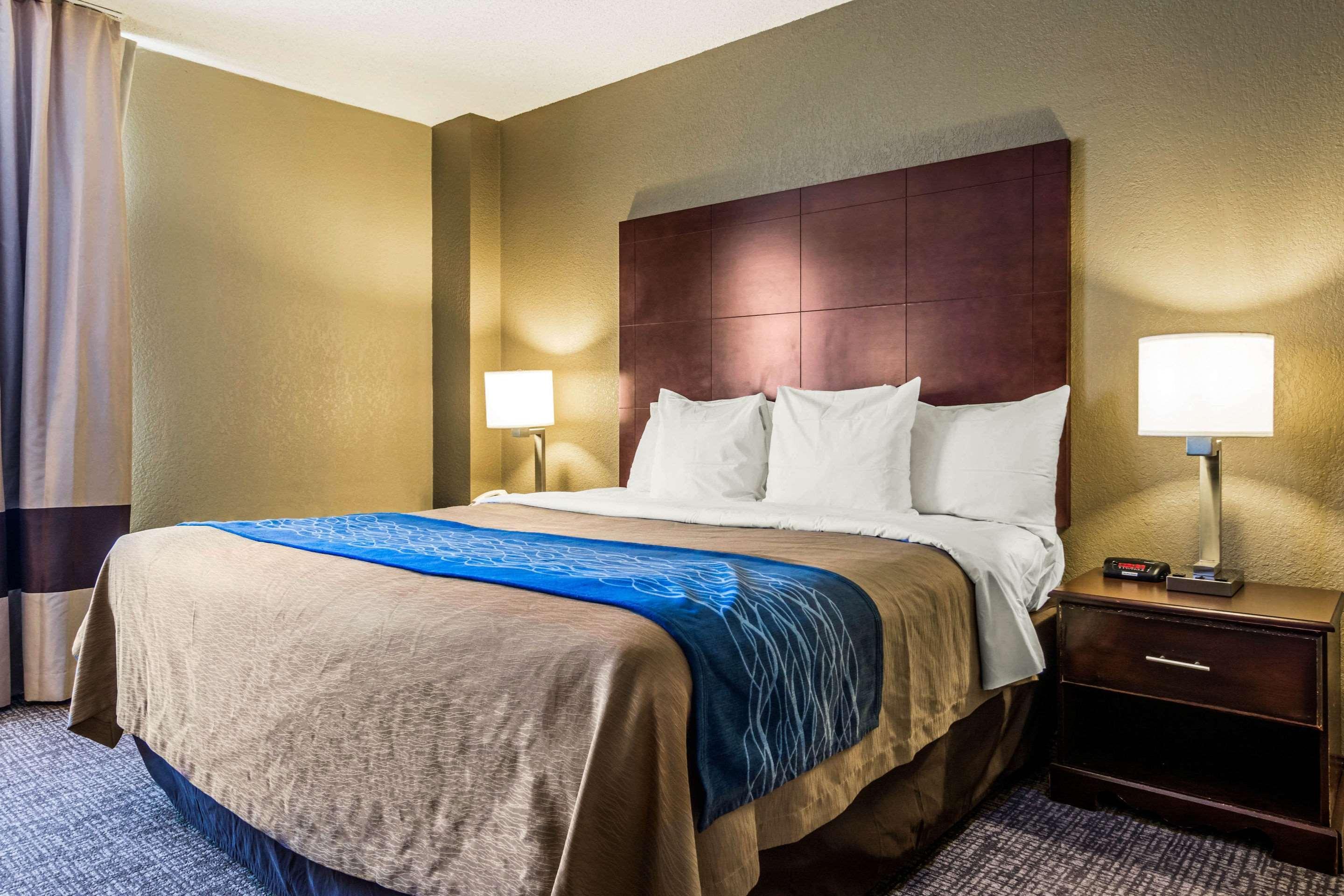 Comfort Inn Atlanta Downtown South Екстер'єр фото
