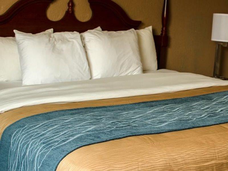 Comfort Inn Atlanta Downtown South Екстер'єр фото