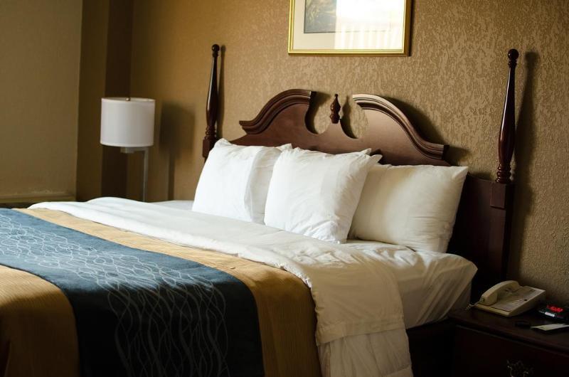 Comfort Inn Atlanta Downtown South Екстер'єр фото