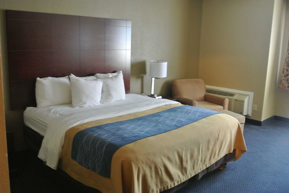 Comfort Inn Atlanta Downtown South Екстер'єр фото