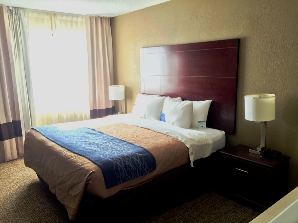 Comfort Inn Atlanta Downtown South Екстер'єр фото