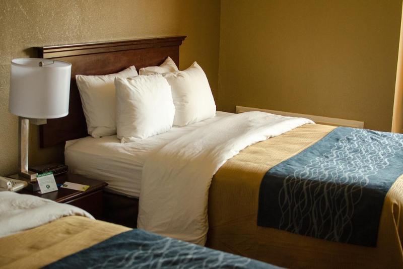 Comfort Inn Atlanta Downtown South Екстер'єр фото